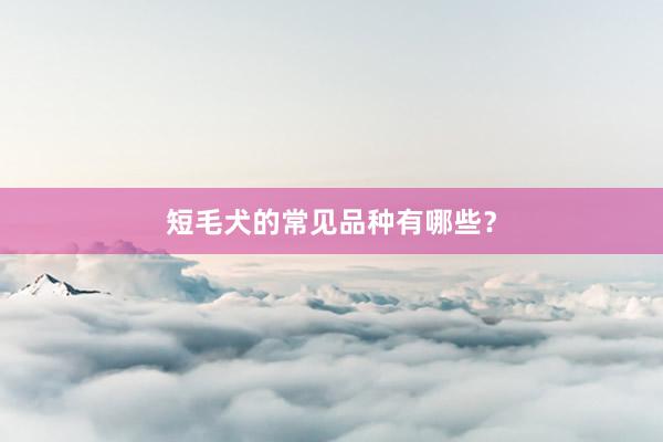短毛犬的常见品种有哪些？