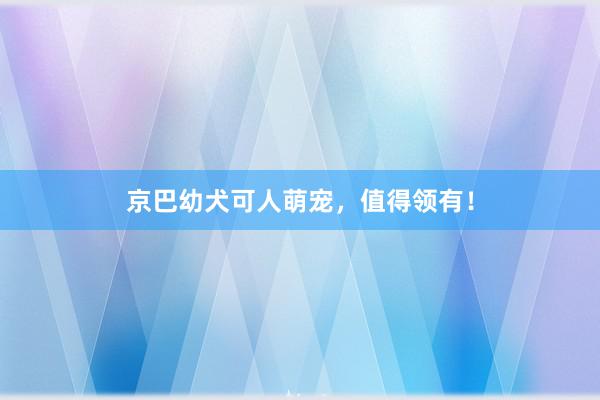 京巴幼犬可人萌宠,值得领有!
