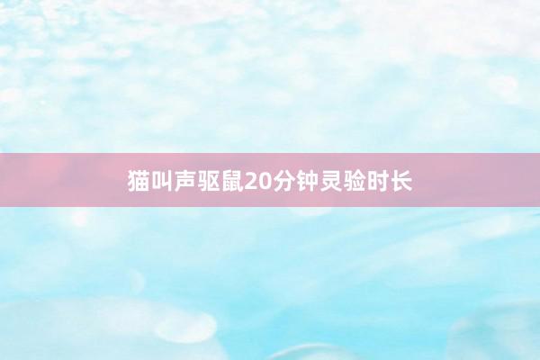 猫叫声驱鼠20分钟灵验时长