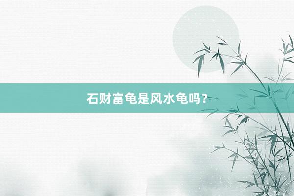 石财富龟是风水龟吗？